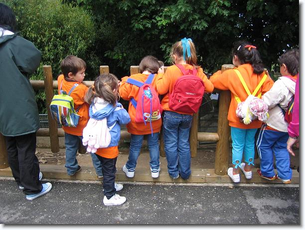 Diapositiva siguiente